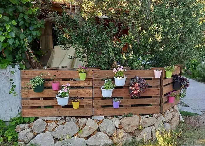 Apartmani Maslina Zuljana