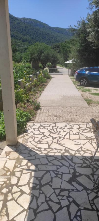 Maslina Apartament
