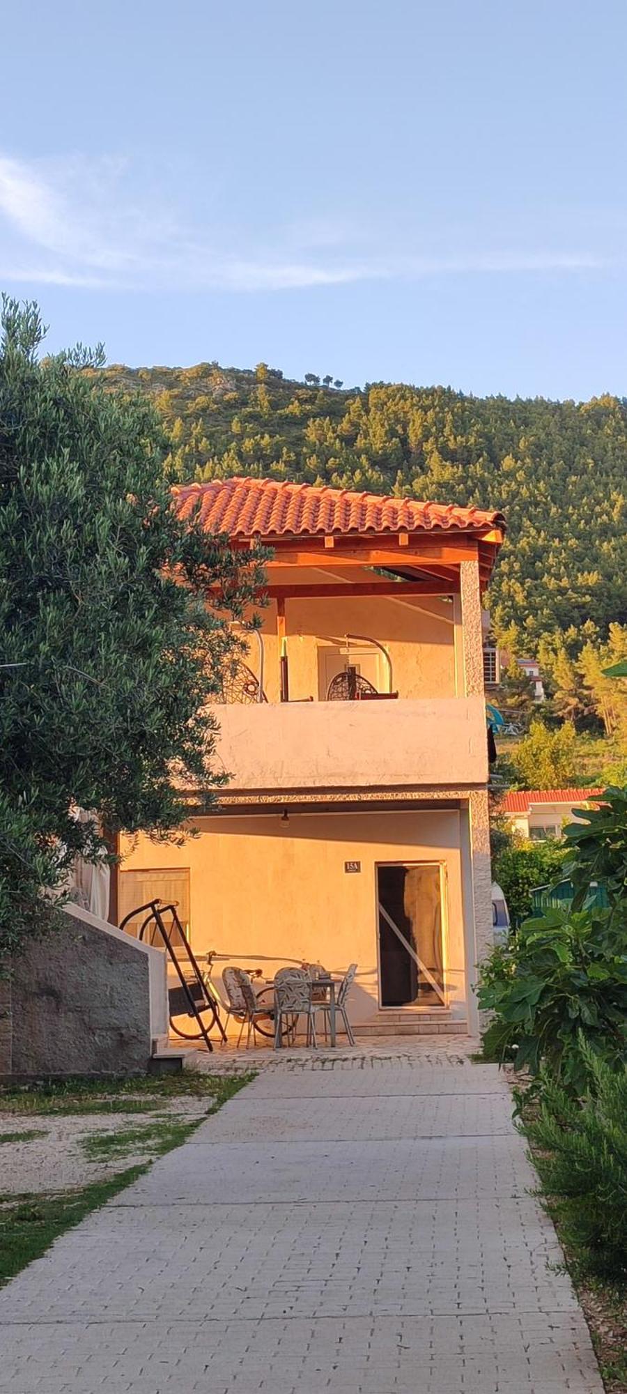Apartment Maslina *