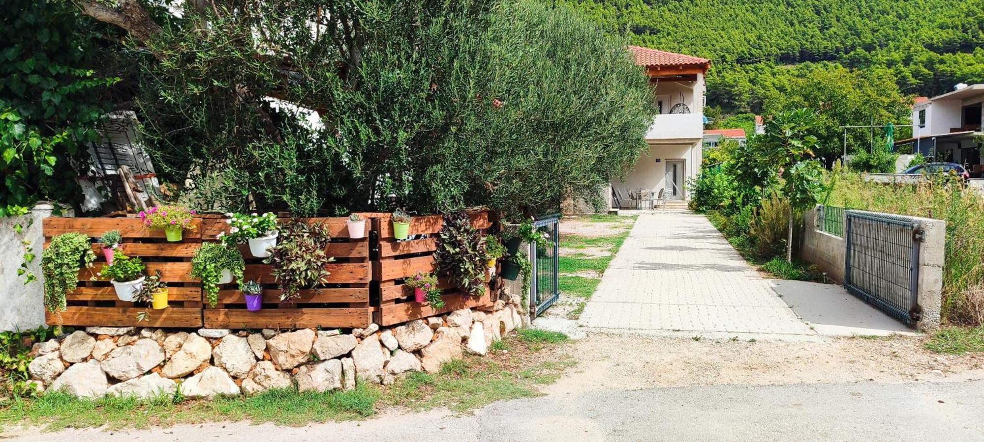Apartament Maslina