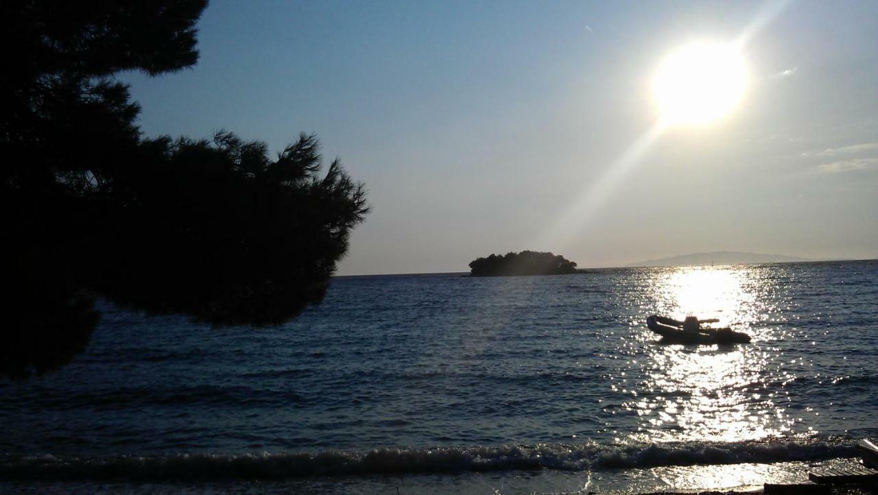 Apartament Maslina