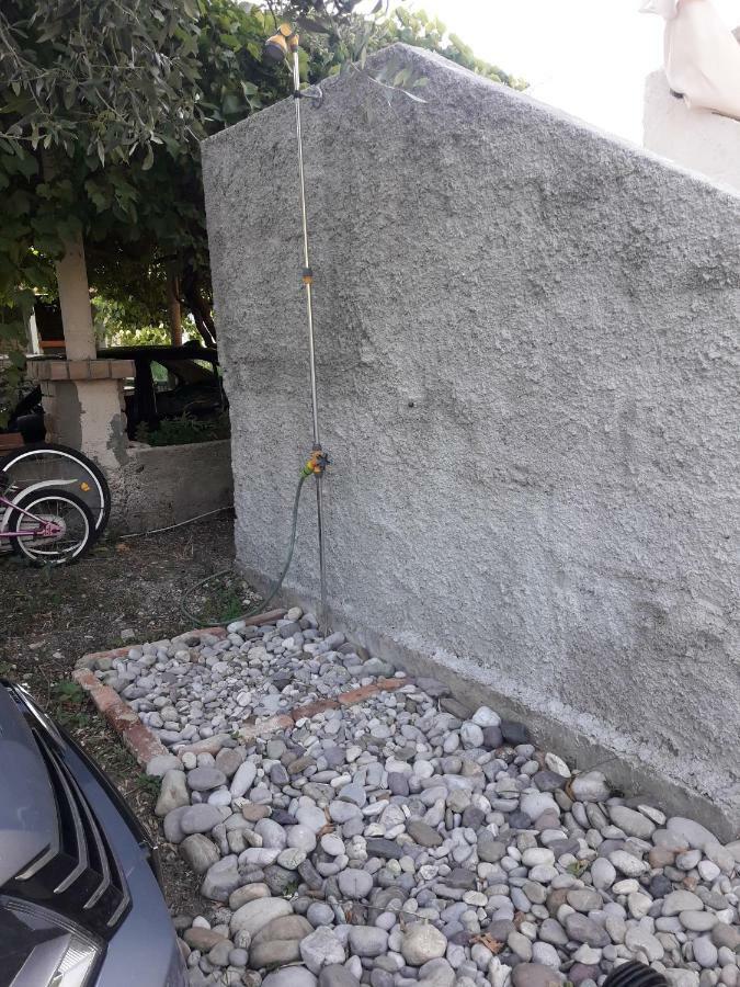 Maslina * Žuljana